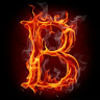 brady_slifer